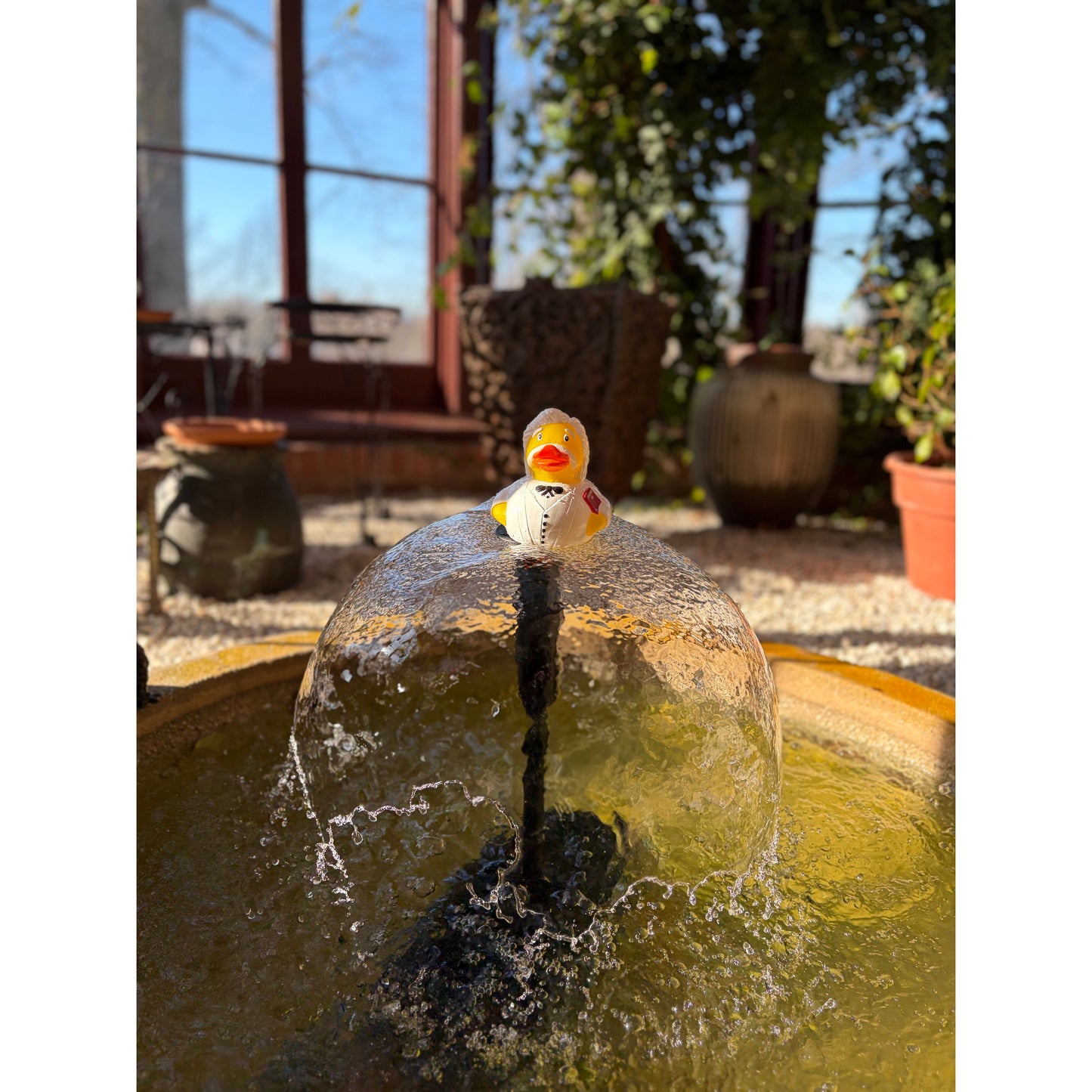 Duckleberry Finn