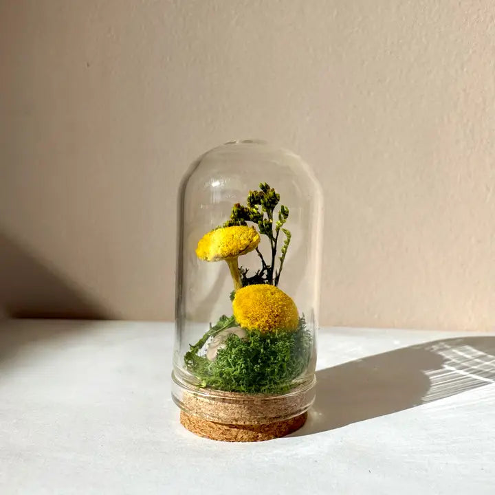 Yellow Mushroom Fields Mini Glass Terrarium W. Dried Florals