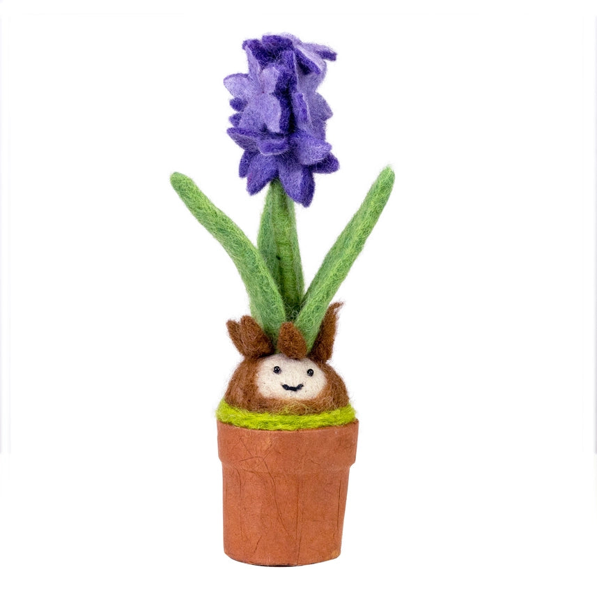 Hyacinth Potted Plant