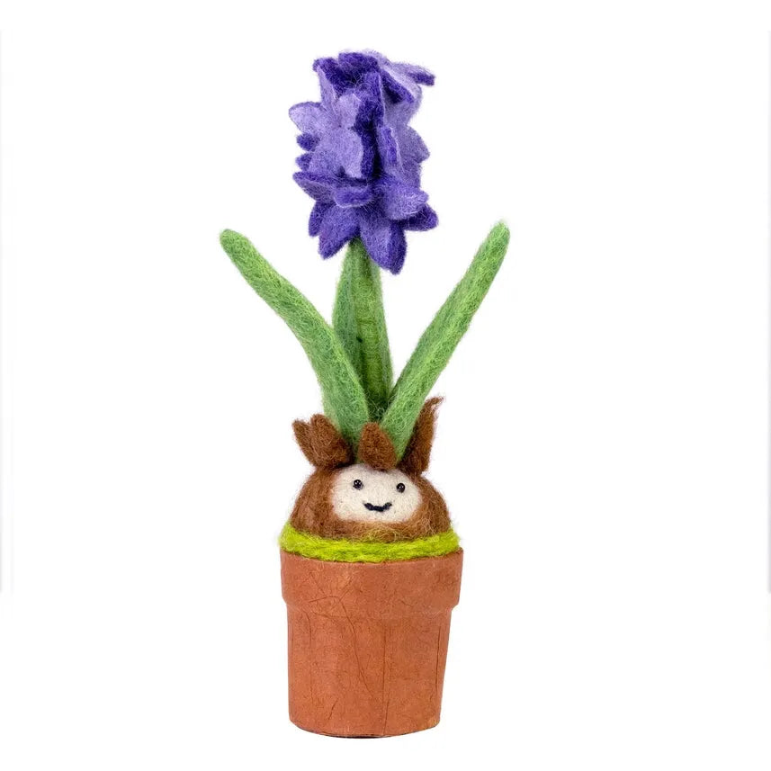 Hyacinth Potted Plant