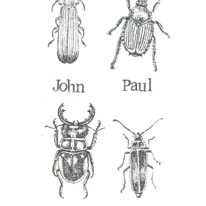 Meet the Beetles Birthday Card