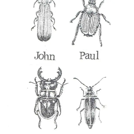Meet the Beetles Birthday Card