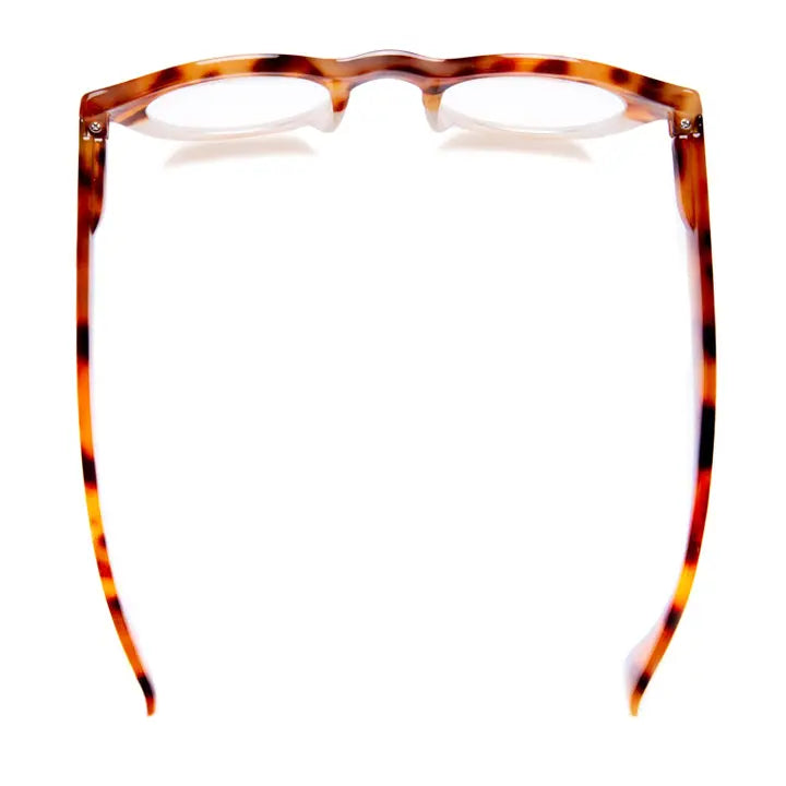 Taylor Amber Tortoise Readers