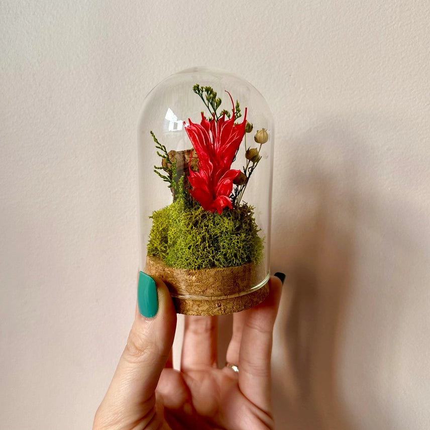Large Botanical Glass Terrarium Jar W. Red Dried Florals