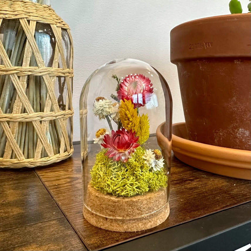 Short Botanical Glass Terrarium Jar W. Pink Dried Florals