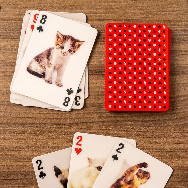 Playing Cards Cats 3D