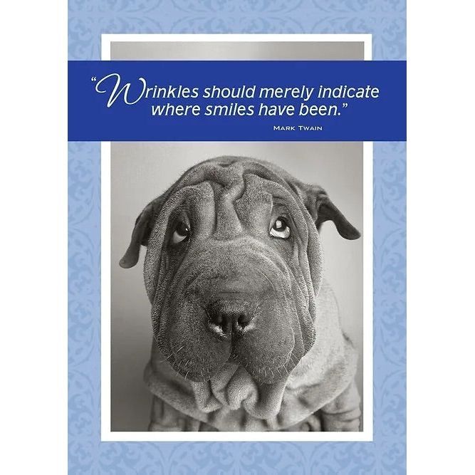 "Wrinkles" Birthday Card