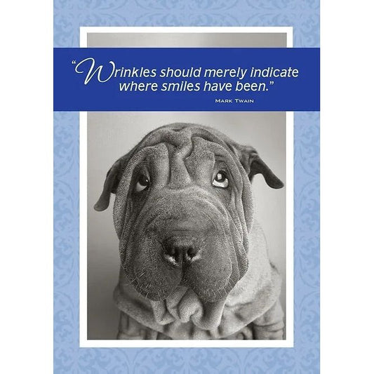 "Wrinkles" Birthday Card
