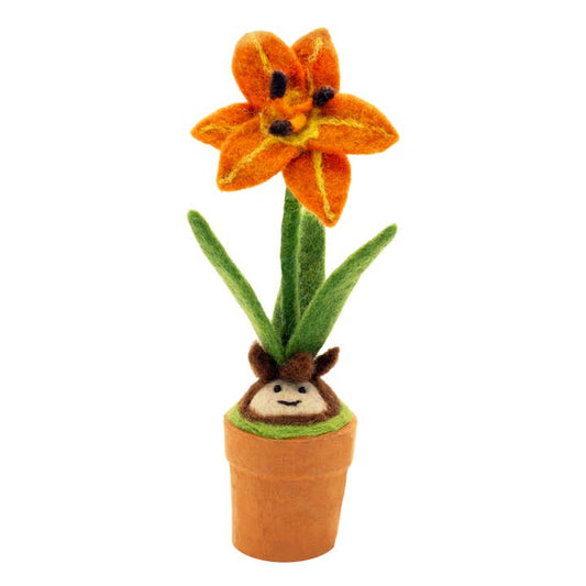 Potted Plant Day Lily Blossom