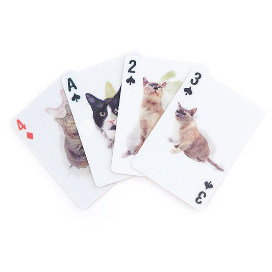 Playing Cards Cats 3D