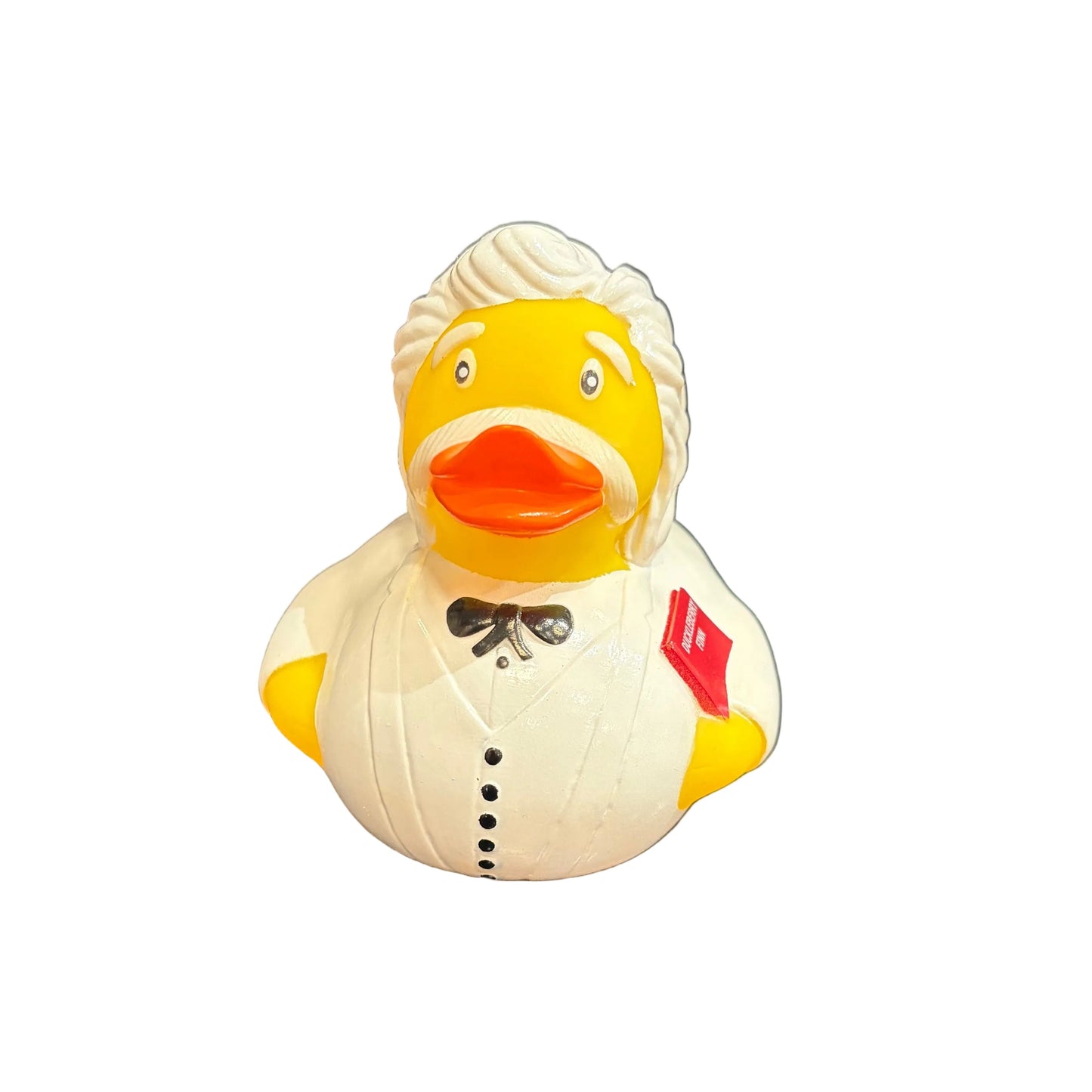 Duckleberry Finn