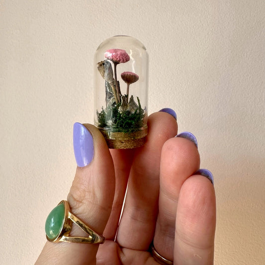 Pink Mushroom Fields Mini Glass Cloche Terrarium