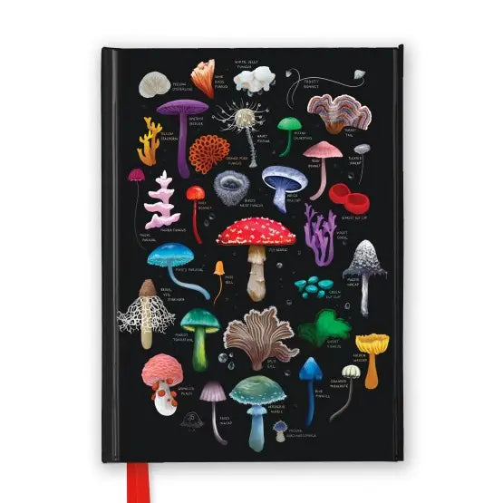 Anna Stead: Mushrooms & Fungi Journal