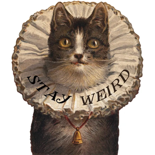 Stay Weird Kitty Sticker
