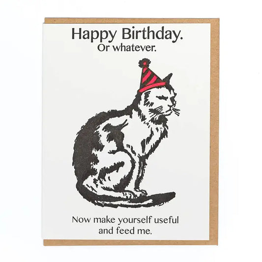 Cranky Cat Birthday Greeting Card
