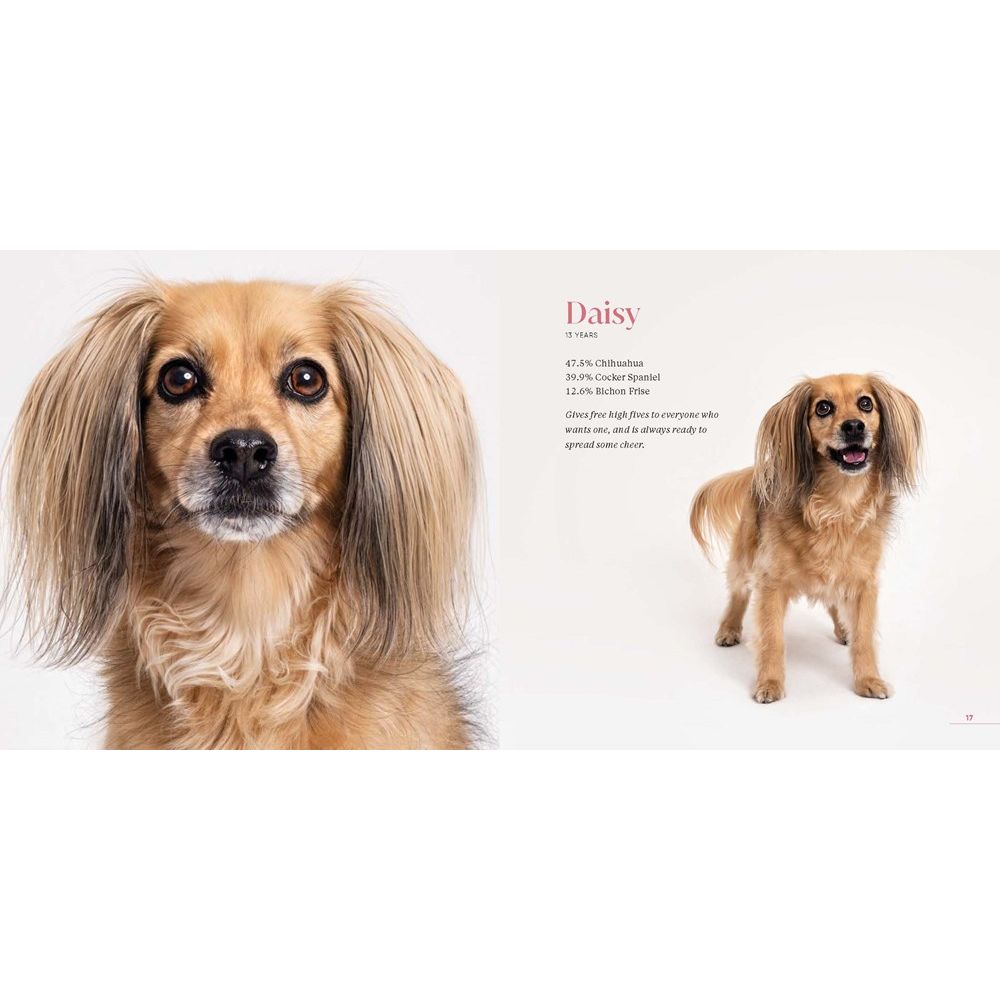What Kind of Dog Is That?