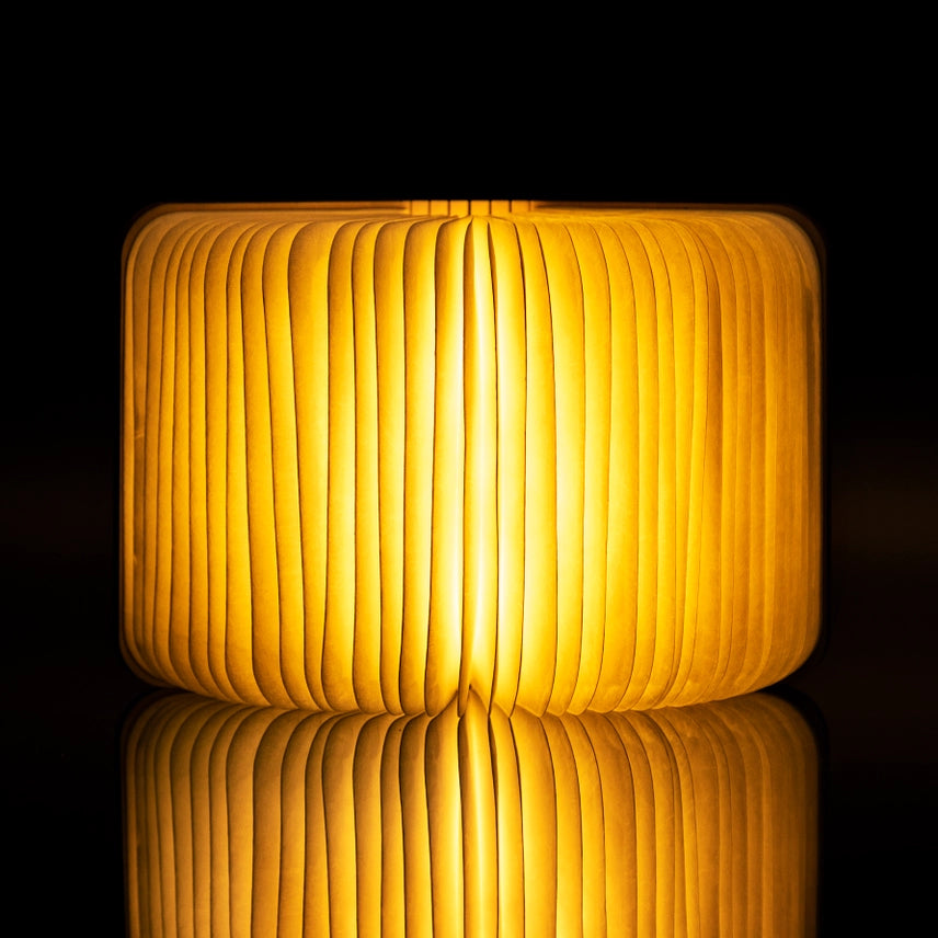 Natural Wood Smart Book Light - Mini