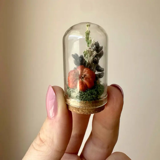 Orange Pumpkin Mix Mini Terrarium Potion Jar W Dried Florals