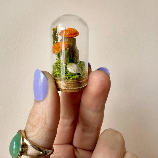 Orange Mushroom Fields Mini Glass Cloche Terrarium