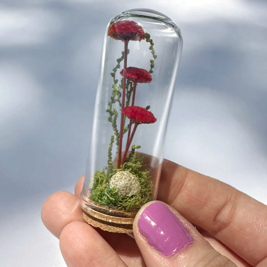 Red Mushroom Fields Mini Glass Cloche Terrarium
