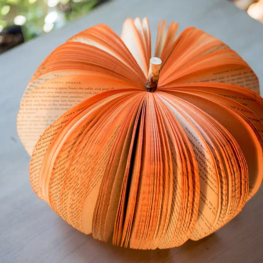Book Pumpkin