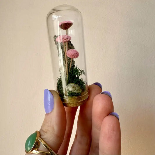 Pink Mushroom Fields Mini Glass Cloche Terrarium
