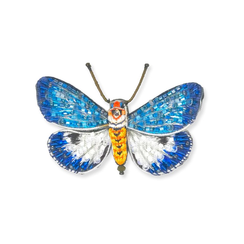 Neochera Moth Pin
