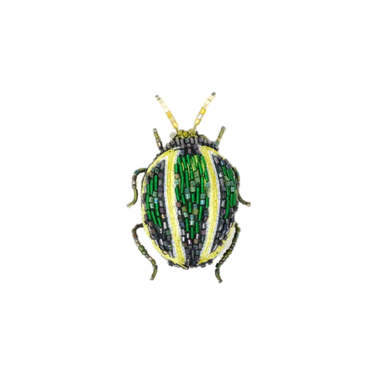 Tortoise Beetle Pin