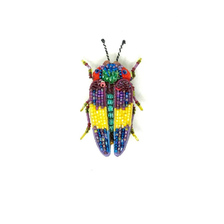 Rebbi's Jewel Beetle Brooch Pin