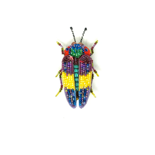 Rebbi's Jewel Beetle Brooch Pin