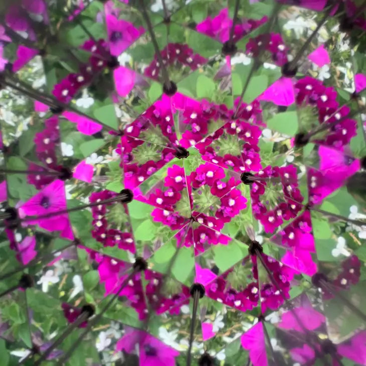 Huckleberry DIY Kaleidoscope