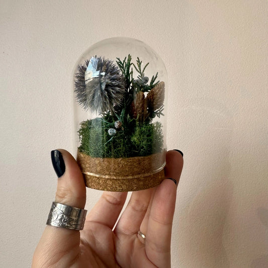 Short Botanical Glass Terrarium Jar W. Blue Dried Florals