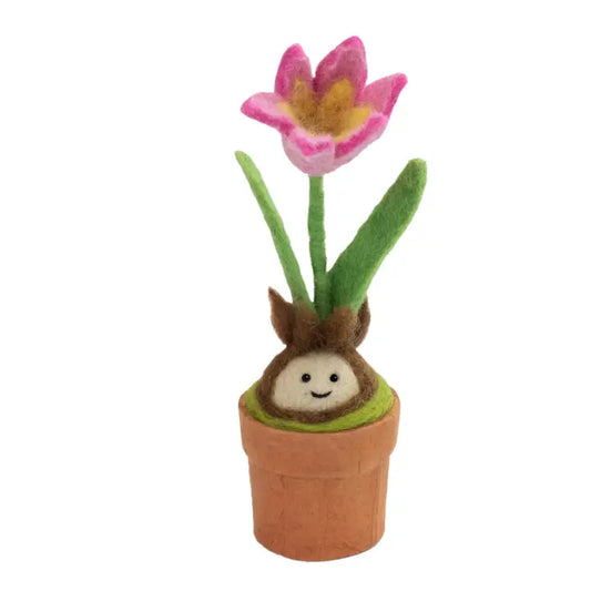 Tulip Blossom Potted Plant