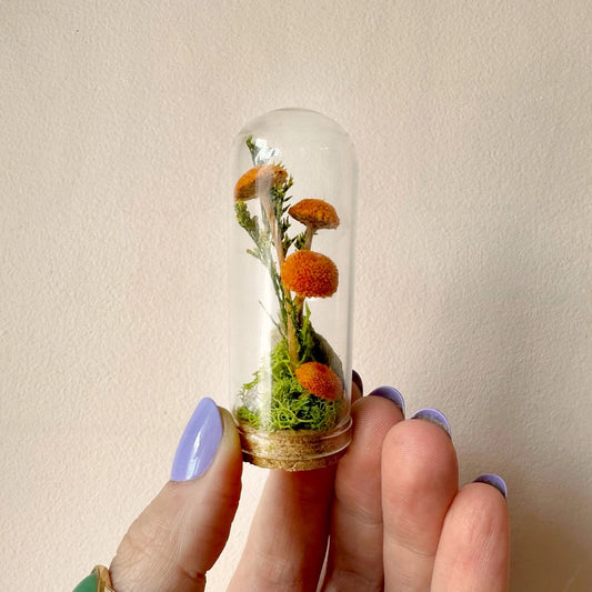 Orange Mushroom Fields Mini Glass Cloche Terrarium