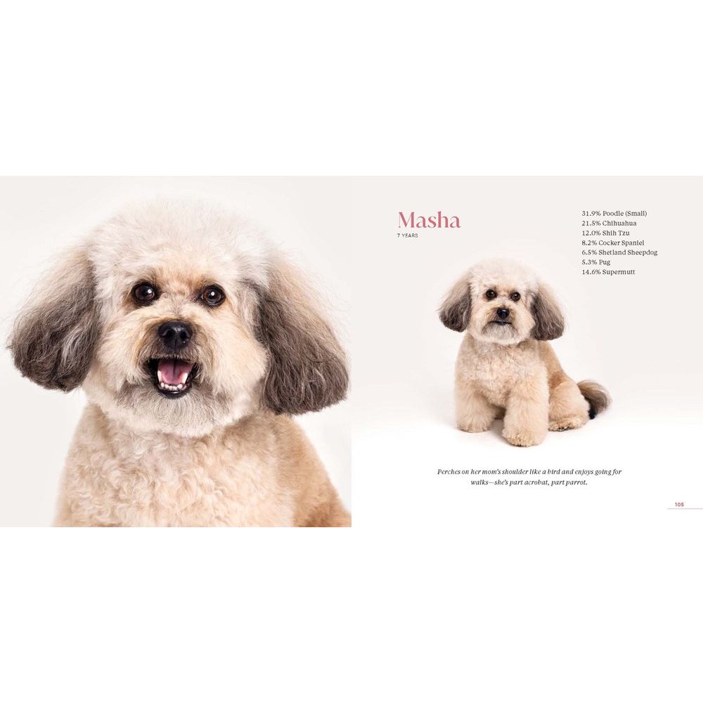 What Kind of Dog Is That?